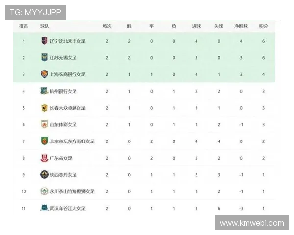 扬超积分榜最新动态全面解读各队排位走势与赛季竞争格局分析