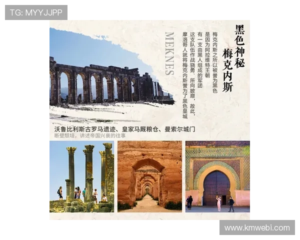 《探索罗马俱乐部对全球可持续发展与经济未来的深远影响与启示》